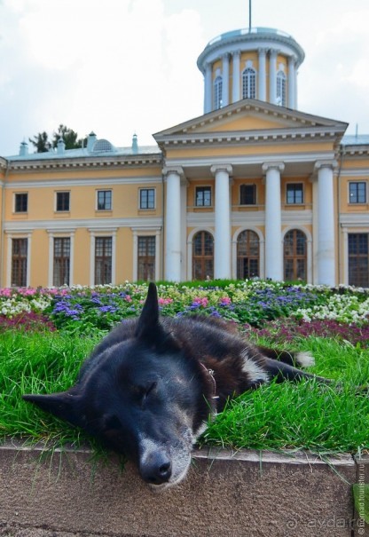 Усадьба Архангельское