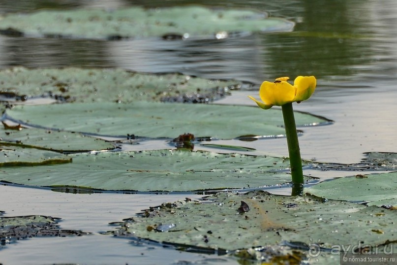Усадьба Архангельское