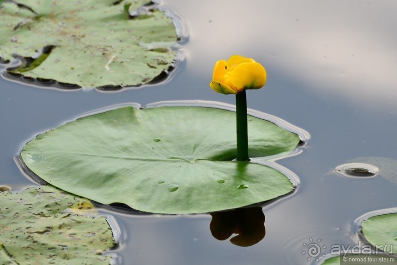 Усадьба Архангельское