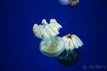 Сингапурские заметки. День первый