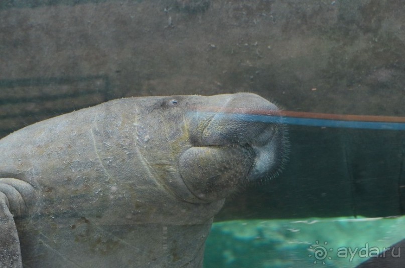 Сингапурские заметки. День первый