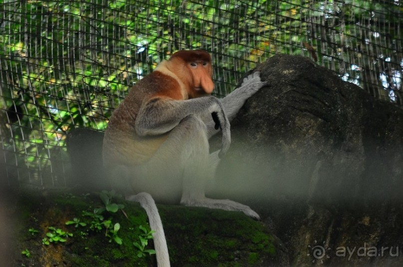 Сингапурские заметки. День первый