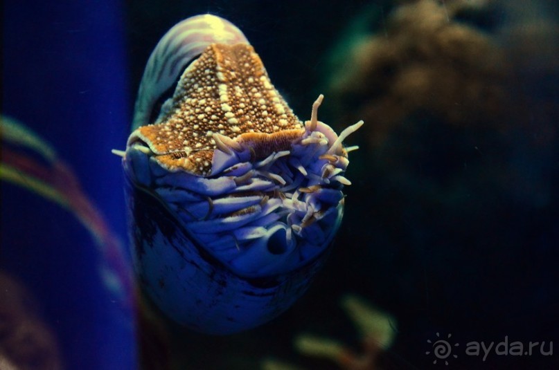 Сингапурские заметки. День первый