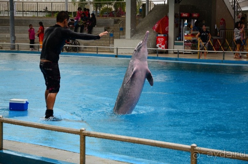 Сингапурские заметки. День первый