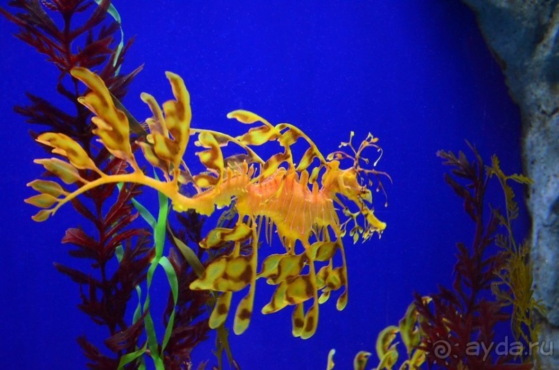 Сингапурские заметки. День первый