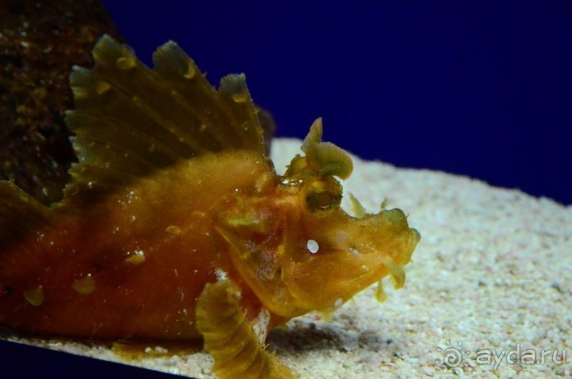 Сингапурские заметки. День первый