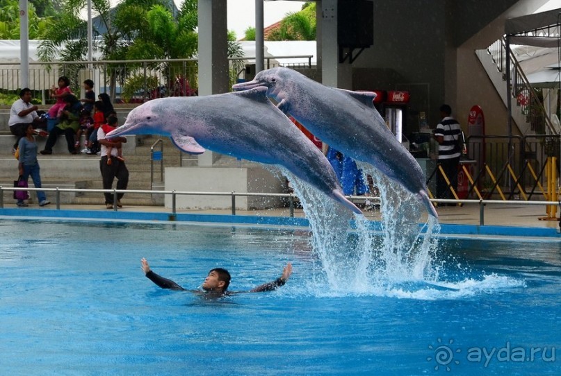 Сингапурские заметки. День первый