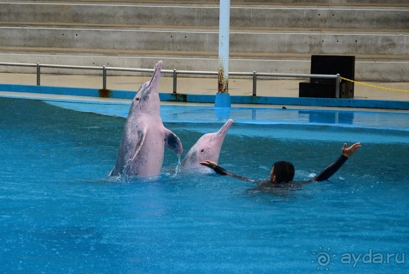 Сингапурские заметки. День первый