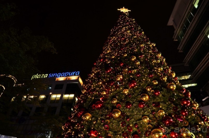 Сингапурские заметки. День первый