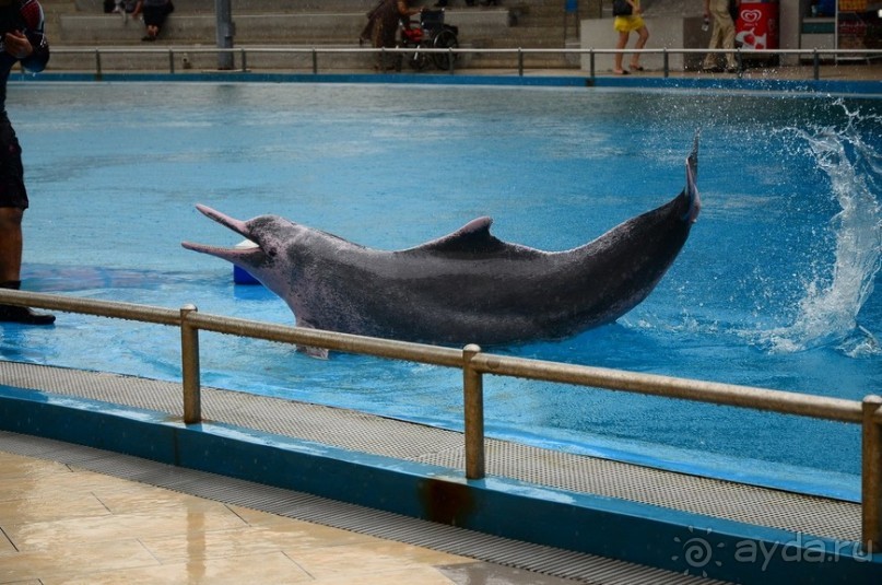 Сингапурские заметки. День первый