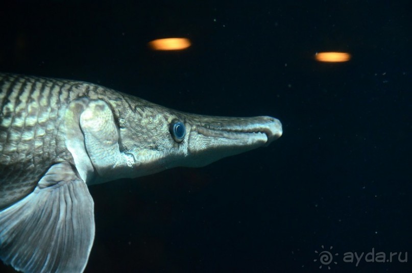 Сингапурские заметки. День первый