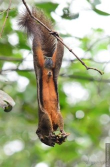 Сингапурские заметки. День второй