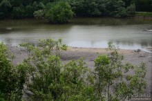 Сингапурские заметки. День второй