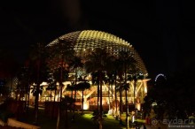 Сингапурские заметки. День второй