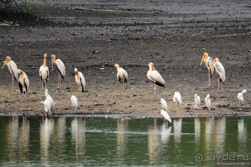 Сингапурские заметки. День второй