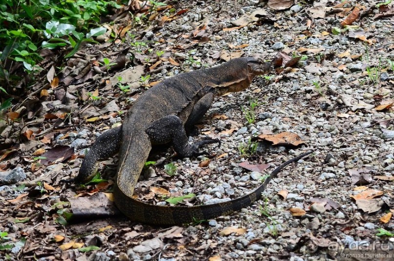 Сингапурские заметки. День второй