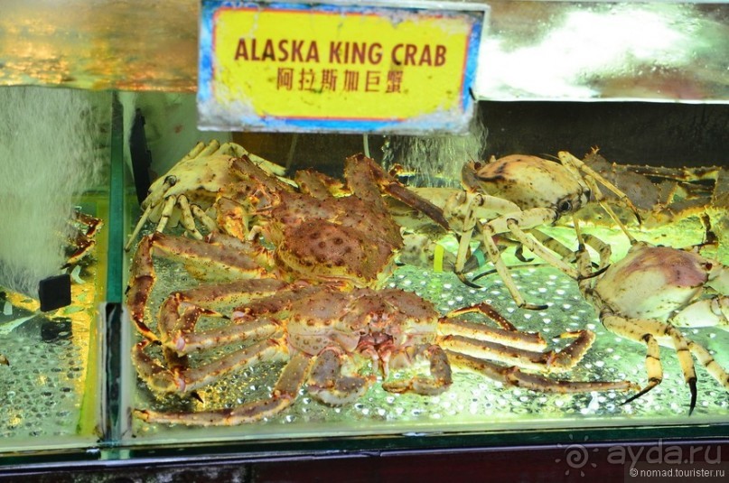 Сингапурские заметки. День второй