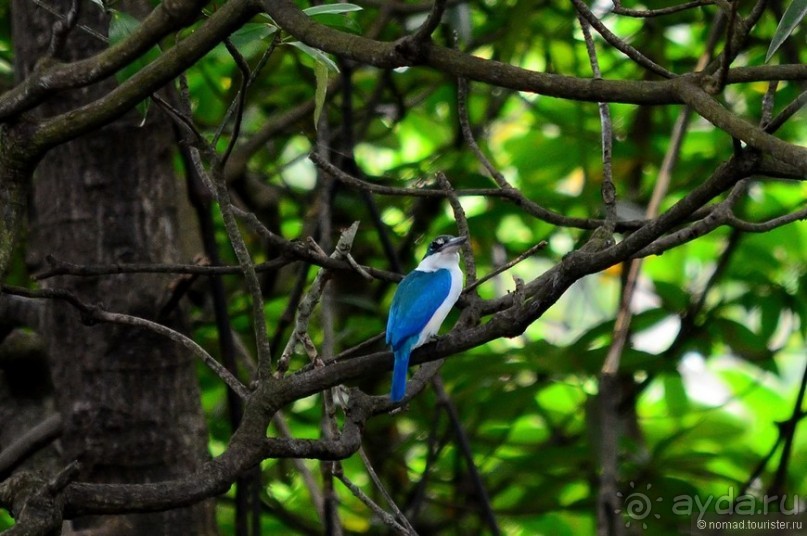 Сингапурские заметки. День второй