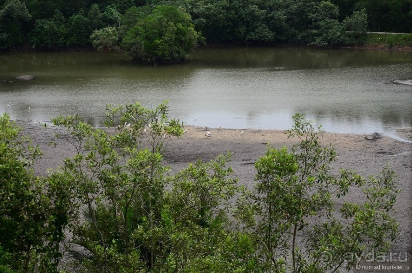 Сингапурские заметки. День второй