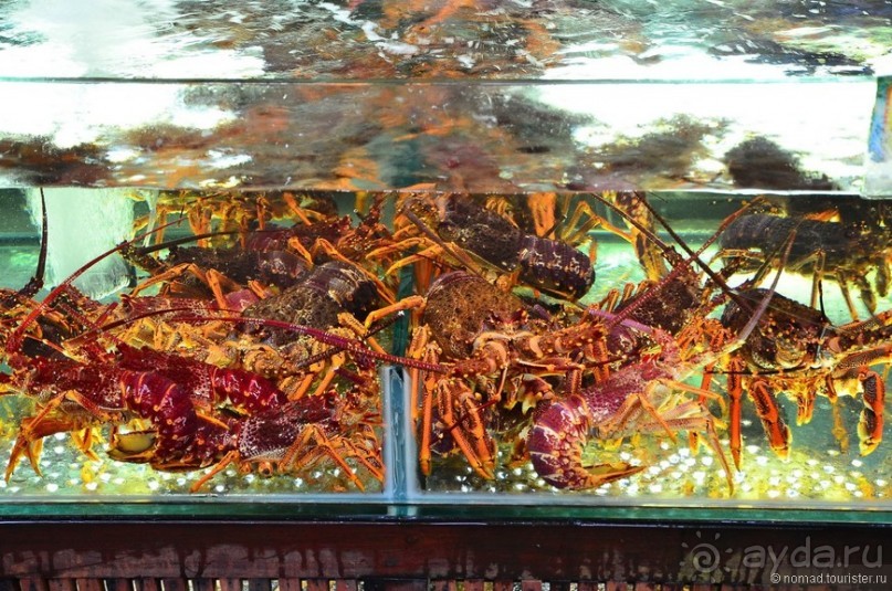 Сингапурские заметки. День второй