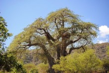 Танзания, Маньяра