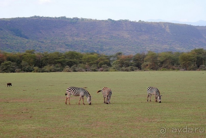 Танзания, Маньяра