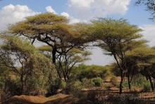 Танзания, Маньяра