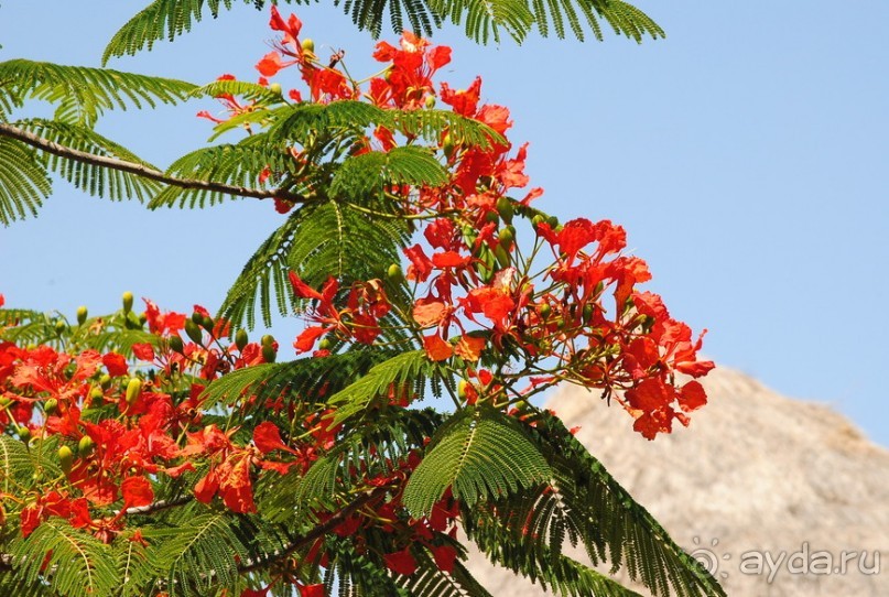 Танзания, Маньяра