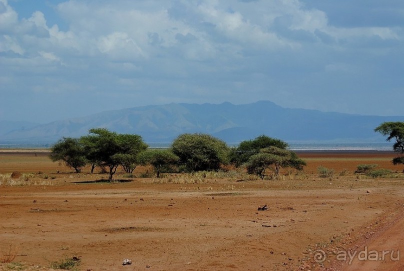 Альбом отзыва "Танзания, Маньяра"