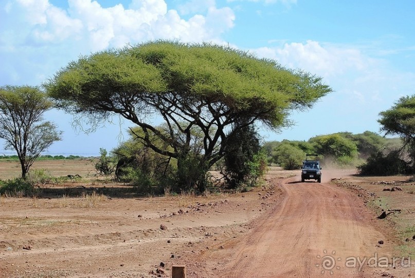 Альбом отзыва "Танзания, Маньяра"