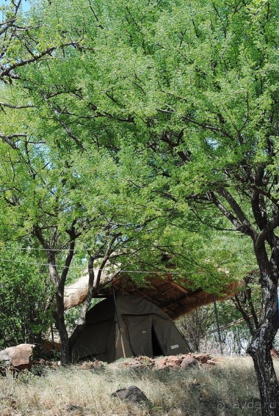 Альбом отзыва "Танзания, Маньяра"