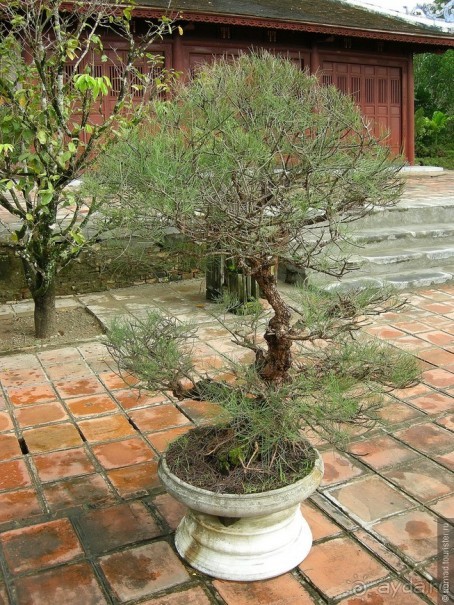 Изрядно подмоченный отчет по Вьетнаму. Часть 4