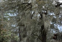 Затерянные Гималаи, Непал-Бутан. Часть 12