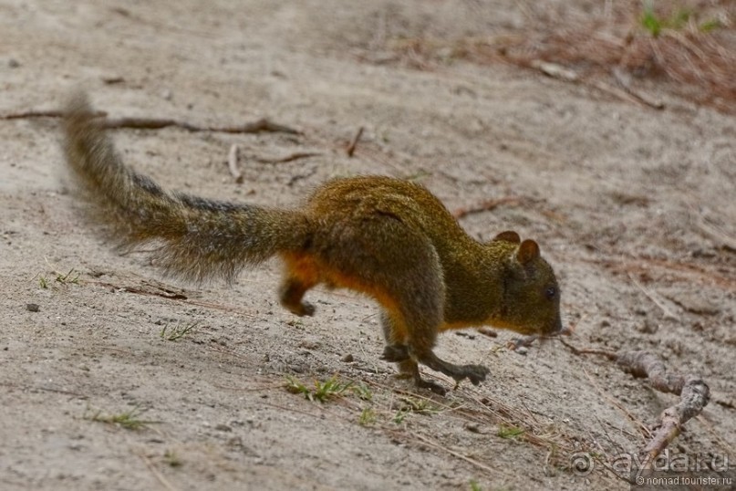 Затерянные Гималаи, Непал-Бутан. Часть 12