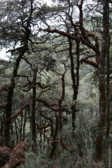 Затерянные Гималаи, Непал-Бутан. Часть 12