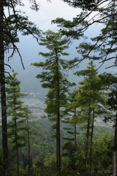 Затерянные Гималаи, Непал-Бутан. Часть 12