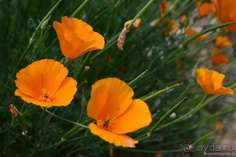 Затерянные Гималаи, Непал-Бутан. Часть 12