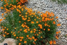 Затерянные Гималаи, Непал-Бутан. Часть 12