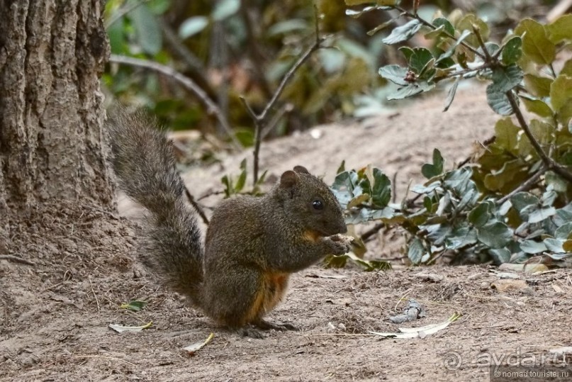 Затерянные Гималаи, Непал-Бутан. Часть 12