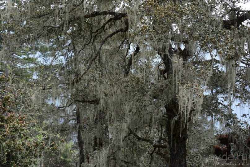 Затерянные Гималаи, Непал-Бутан. Часть 12