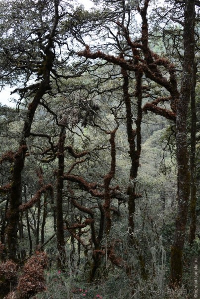 Затерянные Гималаи, Непал-Бутан. Часть 12