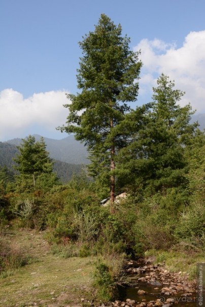 Затерянные Гималаи, Непал-Бутан. Часть 12