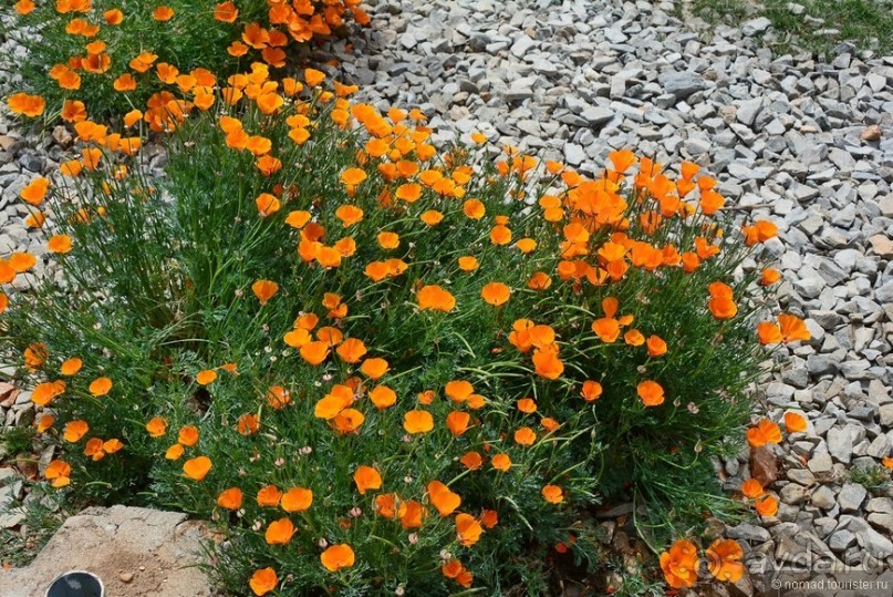 Затерянные Гималаи, Непал-Бутан. Часть 12