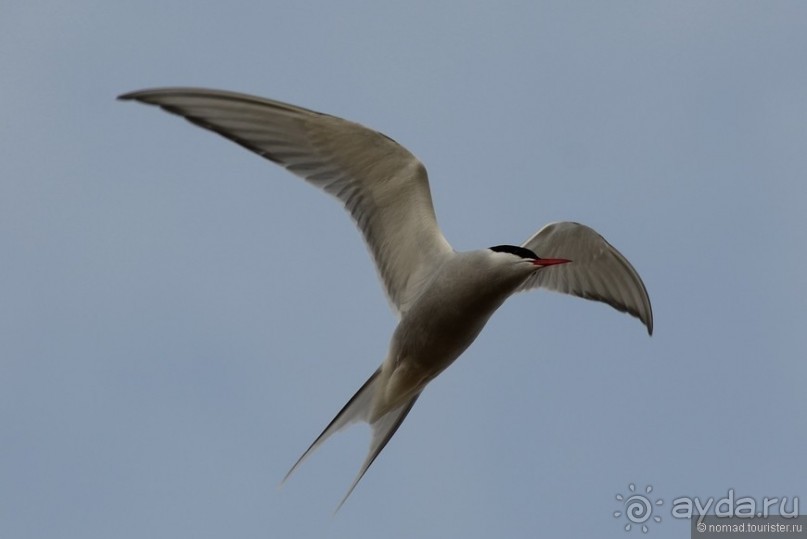 2226 километров по стране чудес. Исландия. Часть 5