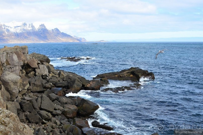 2226 километров по стране чудес. Исландия. Часть 5