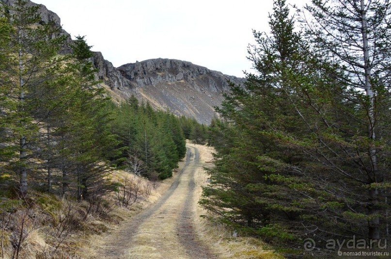 2226 километров по стране чудес. Исландия. Часть 5