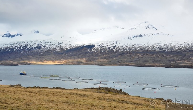 2226 километров по стране чудес. Исландия. Часть 5