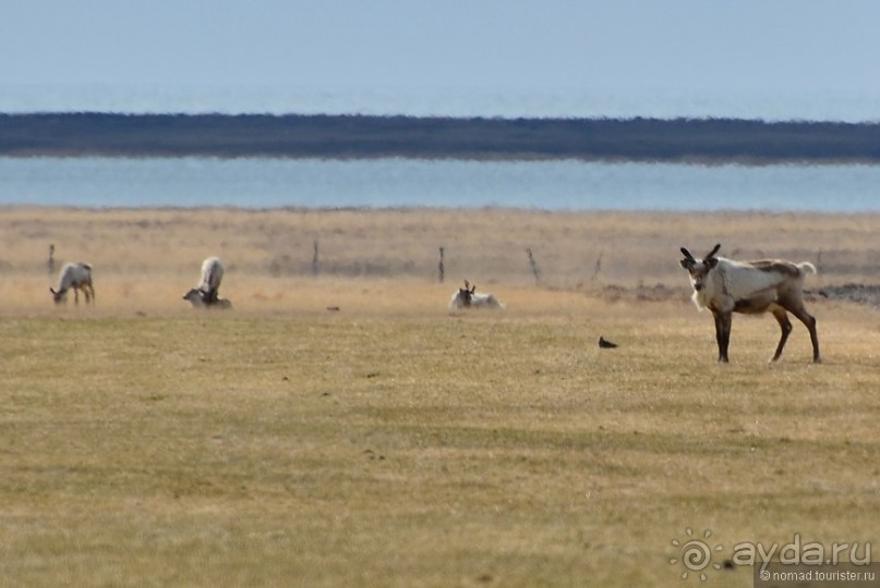 2226 километров по стране чудес. Исландия. Часть 5