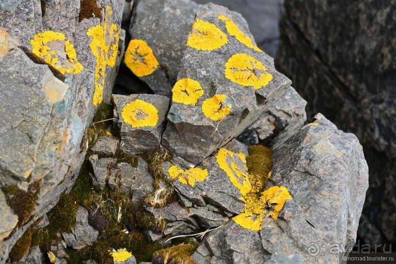 2226 километров по стране чудес. Исландия. Часть 5