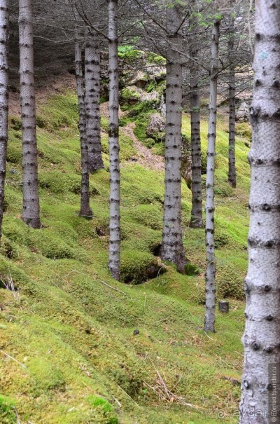 2226 километров по стране чудес. Исландия. Часть 5